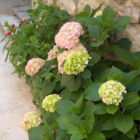 Guest House Lucijo Vrboska Εξωτερικό φωτογραφία