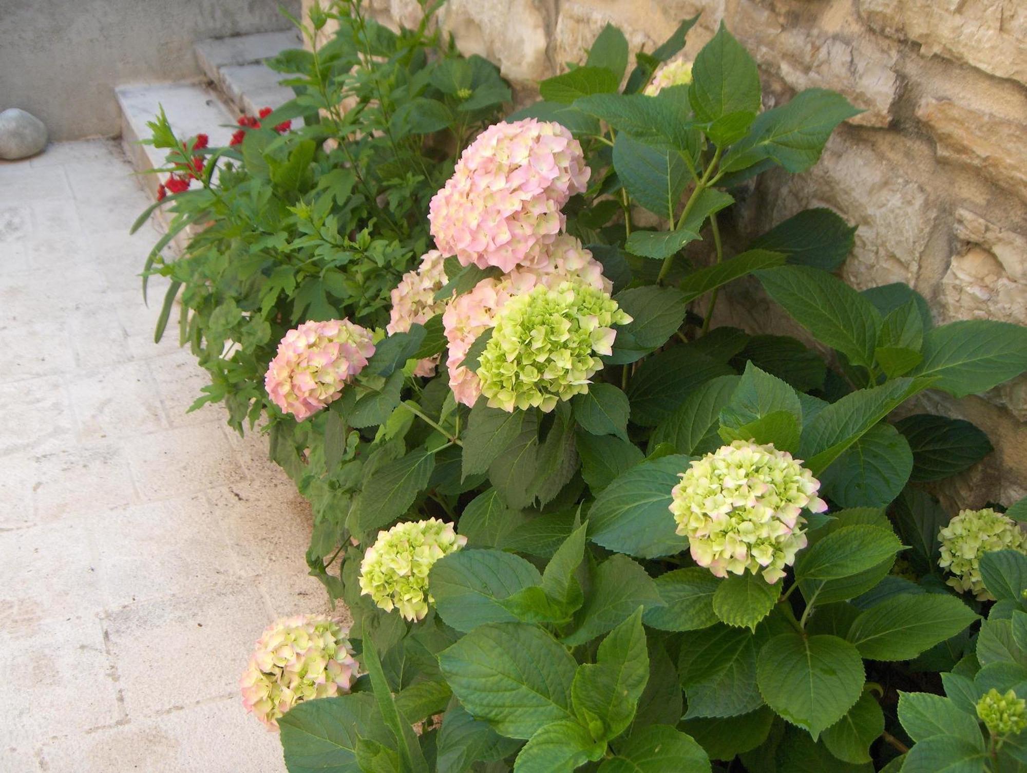 Guest House Lucijo Vrboska Εξωτερικό φωτογραφία