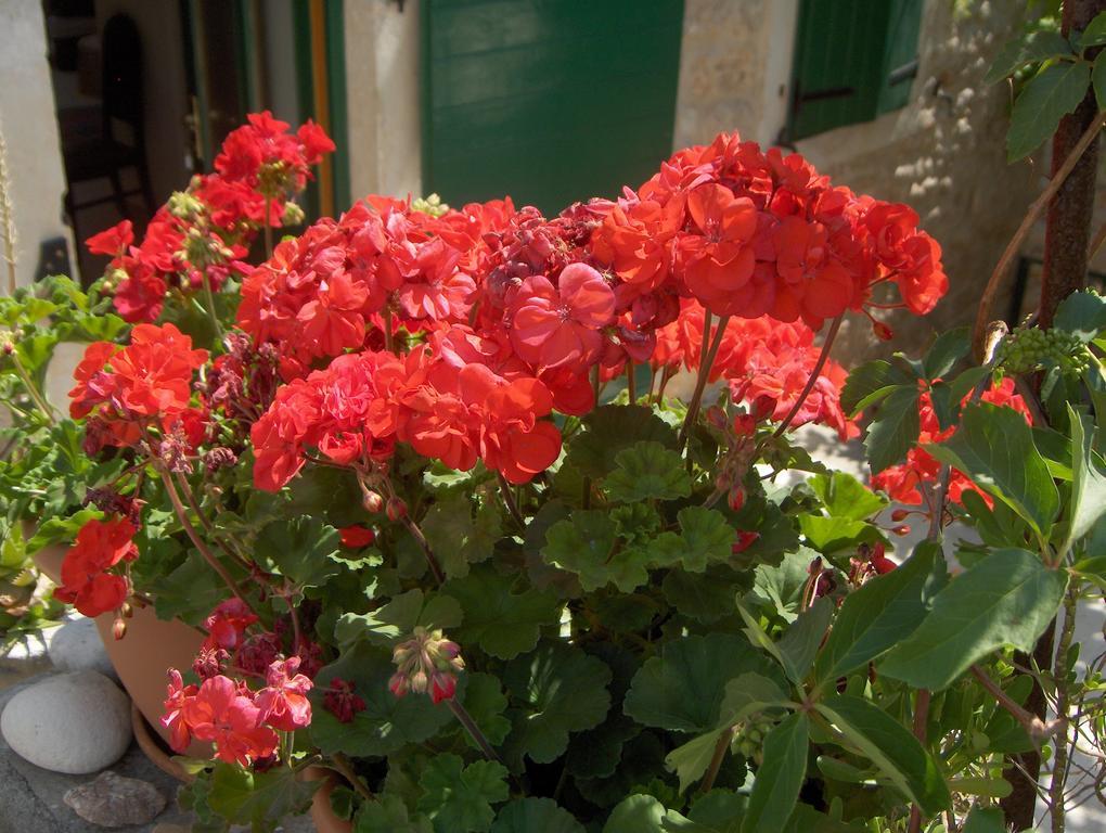 Guest House Lucijo Vrboska Εξωτερικό φωτογραφία